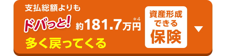 支払総額よりも
ドバっと! 約181.7万円*4
多く戻ってくる
資産形成できる保険