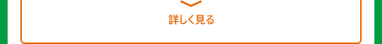 詳しく見る